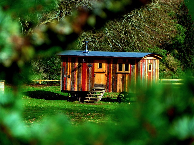 shepherd hut through leaves