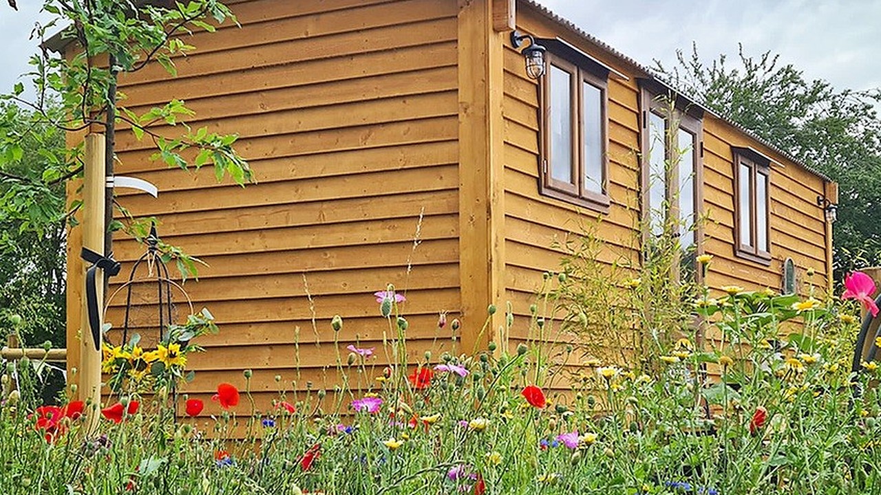 shetland shepherds huts and wild flowers