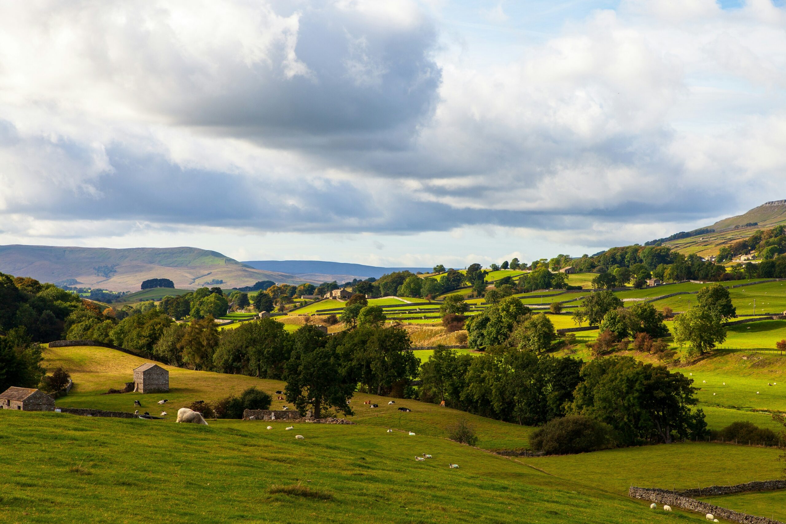 The Yorkshire Dales countryside with rolling hills and sheep