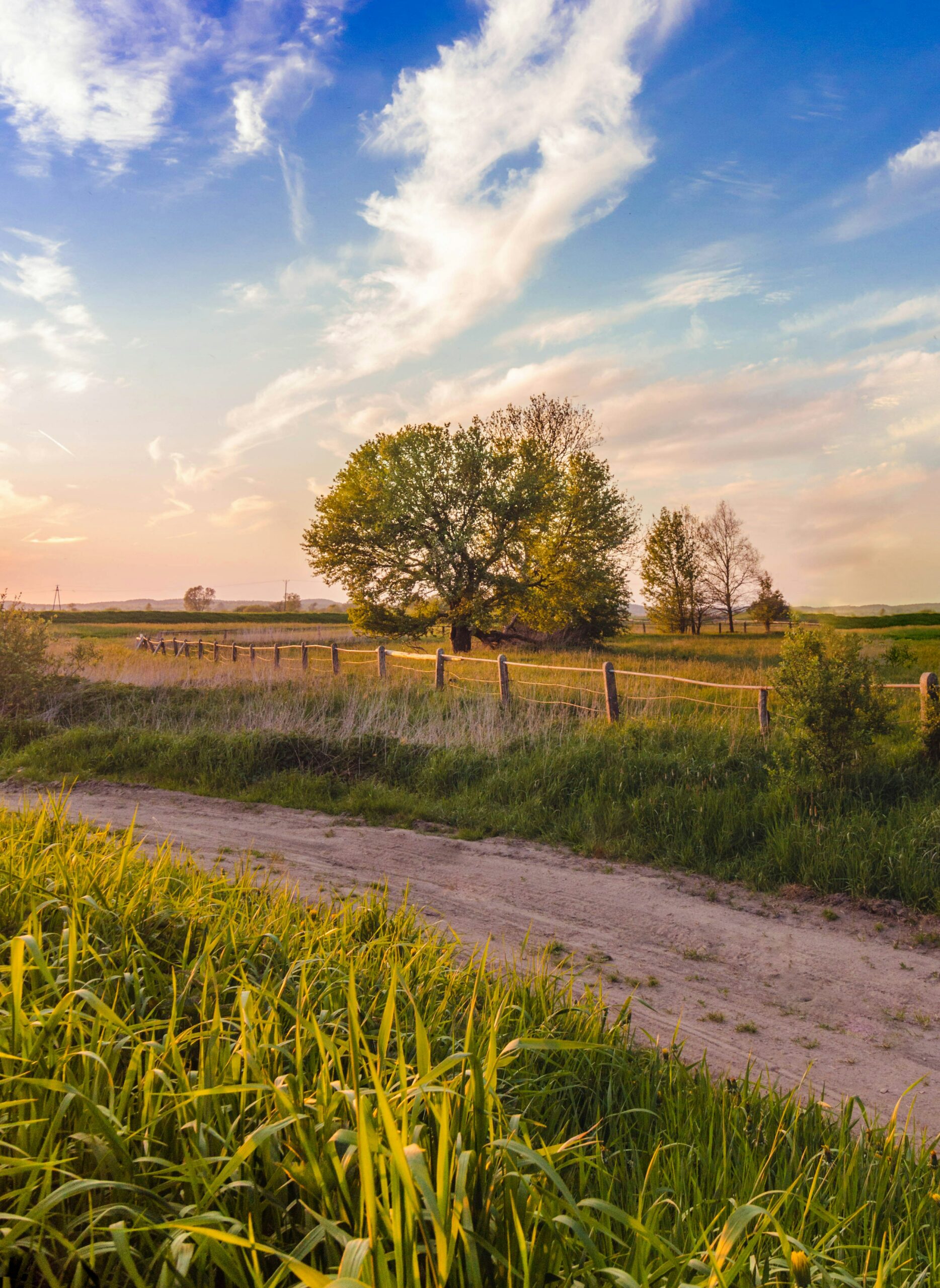 Shot of dirt road through farmland under blue sky